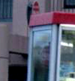 e0103408_1451412.jpg