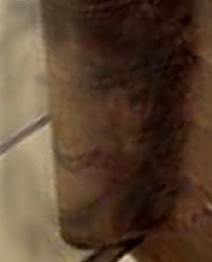 e0103408_15581914.jpg