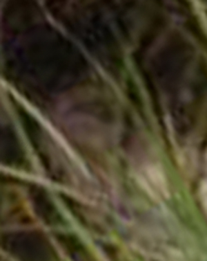 e0103408_15584943.jpg