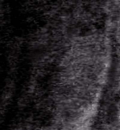 e0103408_18413573.jpg