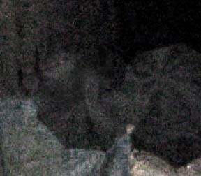 e0103408_18571881.jpg