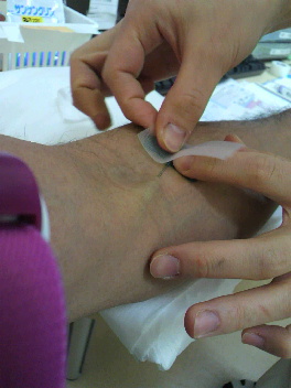 f0127408_2333938.jpg