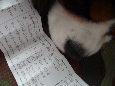 b0072515_143761.jpg