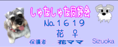 c0219815_19123423.jpg