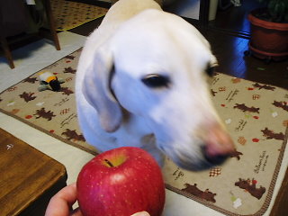 f0192117_1858883.jpg