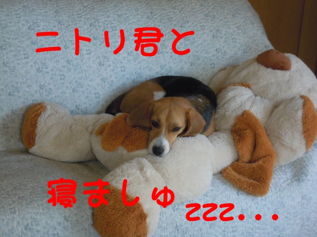 c0166622_10232837.jpg
