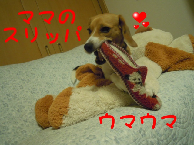 c0166622_1023673.jpg
