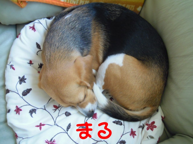 c0166622_10304183.jpg