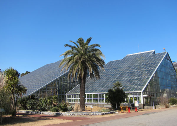 f0147025_22241063.jpg