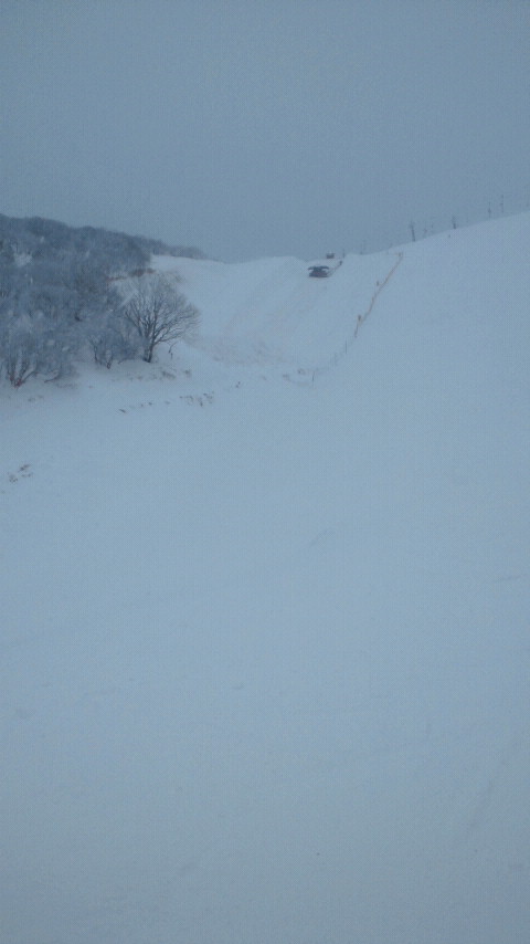 e0089227_228039.jpg