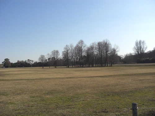 b0085331_19124931.jpg