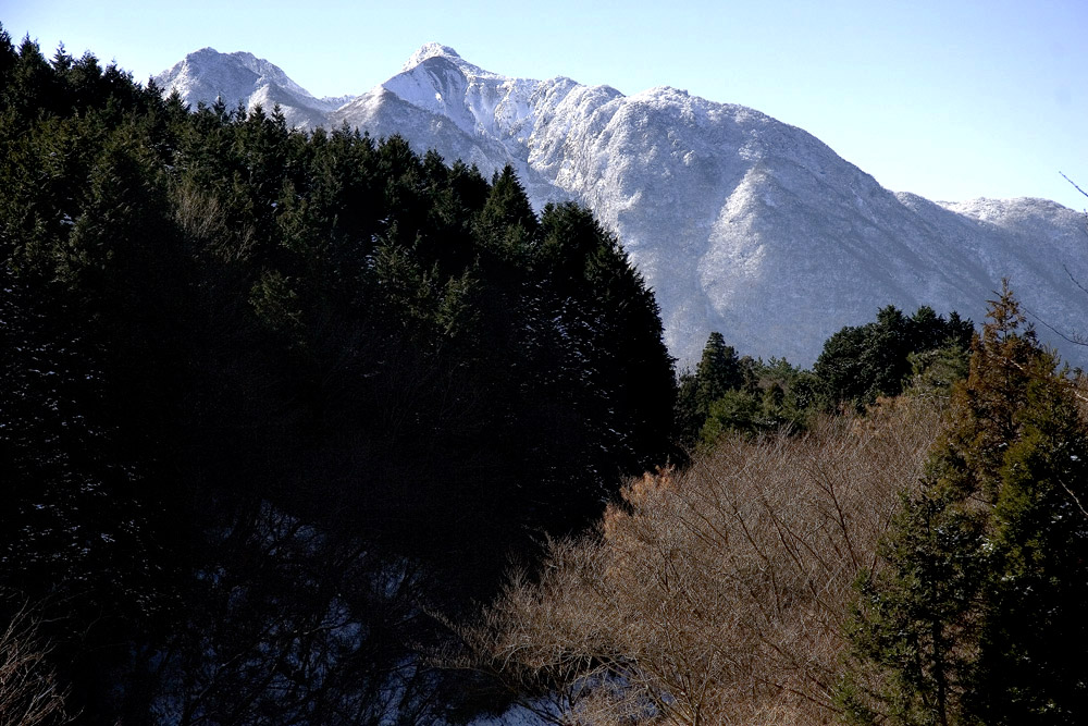 d0136836_9424859.jpg
