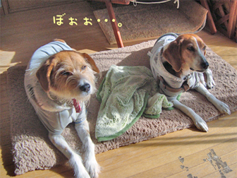 c0086746_22545017.jpg