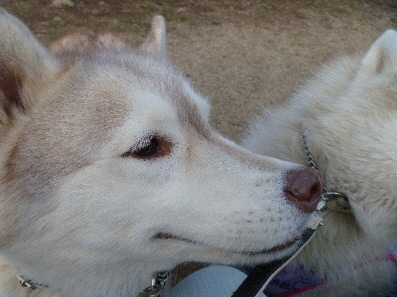e0121548_23144854.jpg