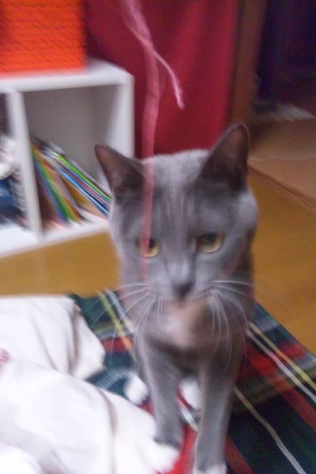 c0208352_11584898.jpg