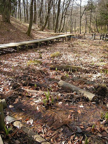 a0001354_1935820.jpg