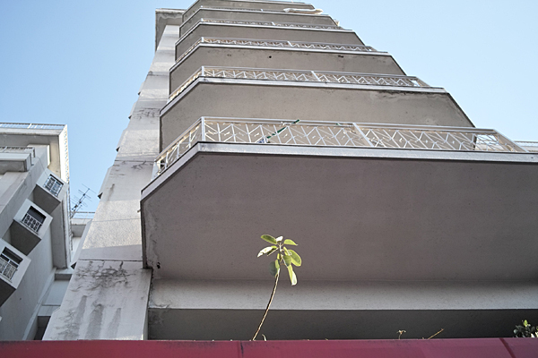 f0206356_12255937.jpg