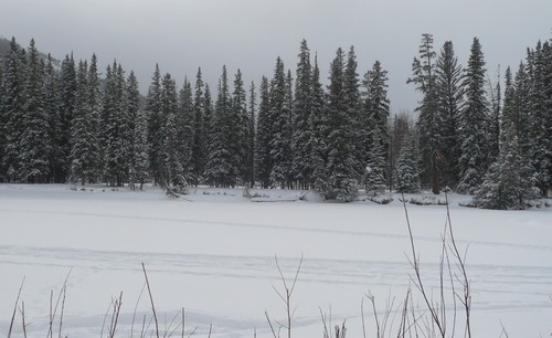 f0214562_1405290.jpg