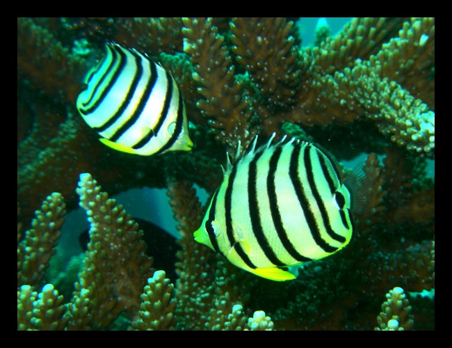 b0062363_21435972.jpg