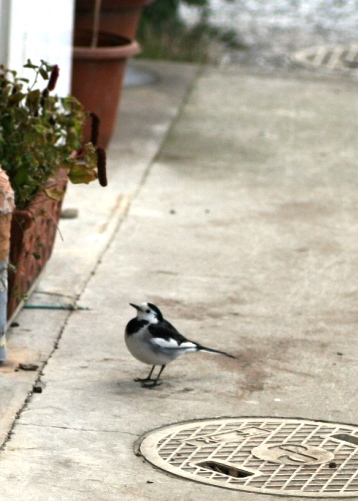 c0186463_2283417.jpg