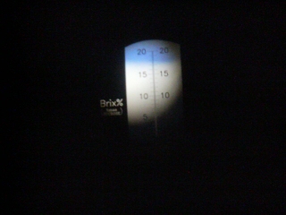 f0055264_22312380.jpg