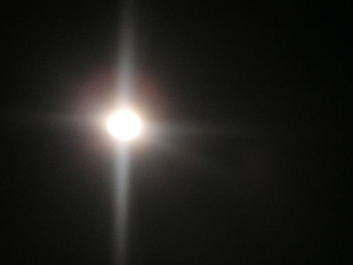 b0175571_101811100.jpg