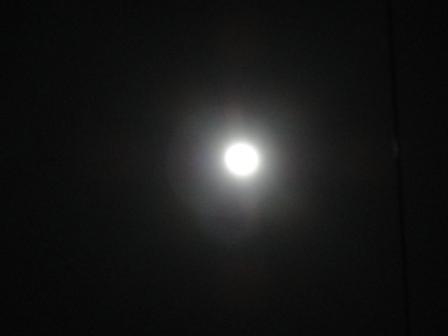 d0109373_0202598.jpg