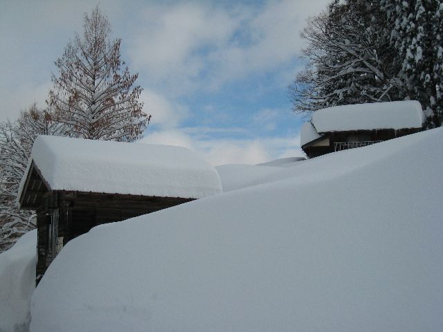 a0025576_20104796.jpg
