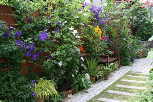 e0154682_2295777.jpg