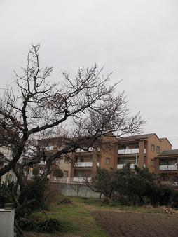 e0130185_1482041.jpg