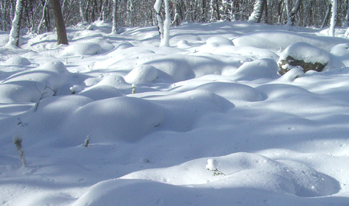 b0099994_15275346.jpg