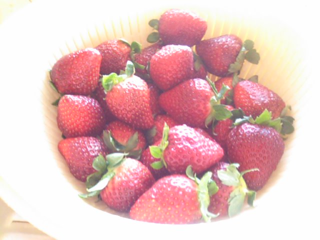 f0077595_1458458.jpg