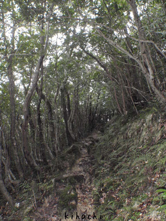 a0100798_21315835.jpg