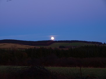 b0110999_2164521.jpg