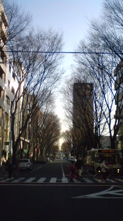 c0202101_112894.jpg