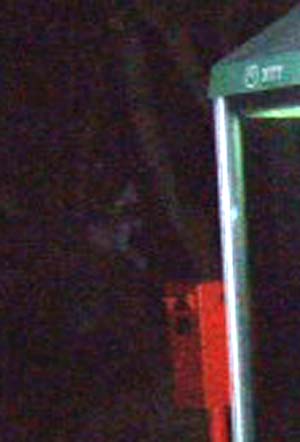 e0103408_14544845.jpg
