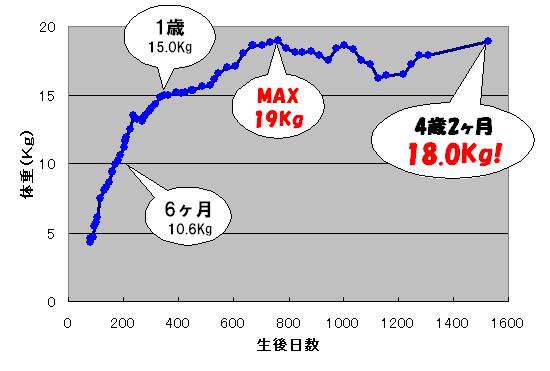 c0113109_1492059.jpg