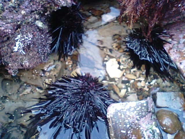 f0231709_16332310.jpg