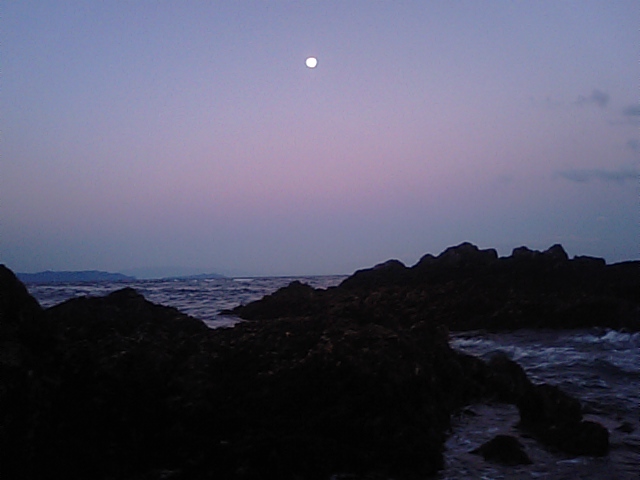 f0231709_16462320.jpg