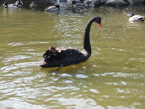 e0179321_22252016.jpg