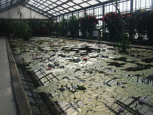 e0179321_23104720.jpg