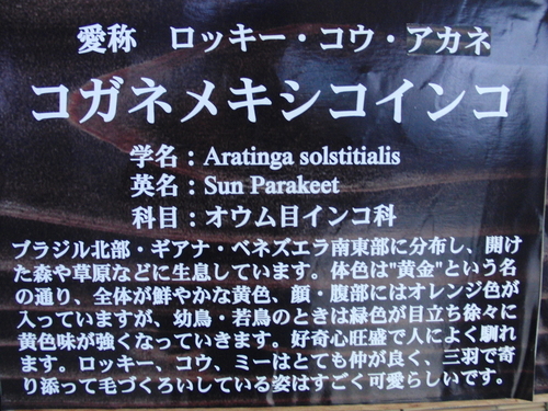 e0179321_2315962.jpg