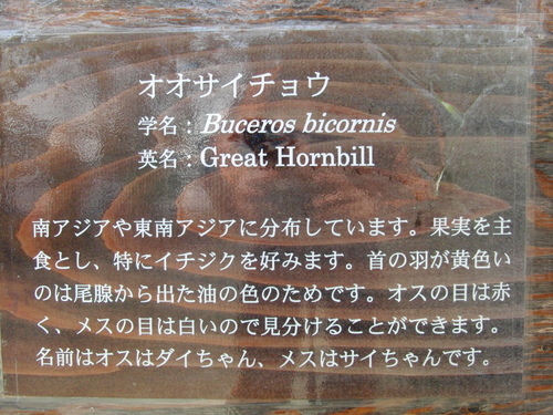 e0179321_23165080.jpg