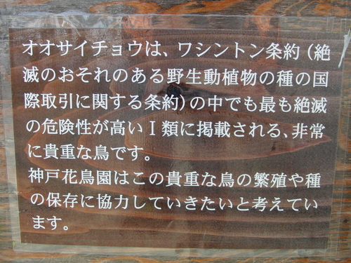 e0179321_2317951.jpg