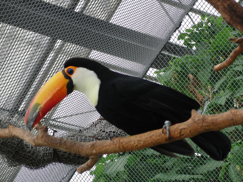 e0179321_23183032.jpg