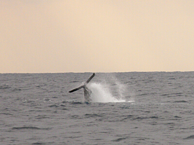 f0062839_1973794.jpg