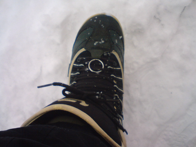 c0104445_2313319.jpg