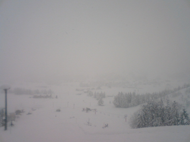 c0104445_23595312.jpg