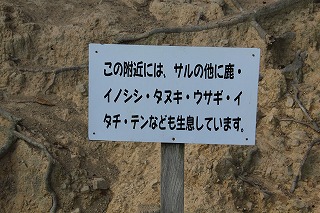 b0200747_23112229.jpg