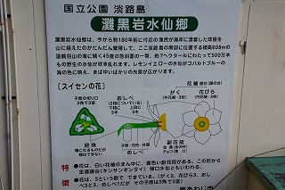 b0200747_23281228.jpg
